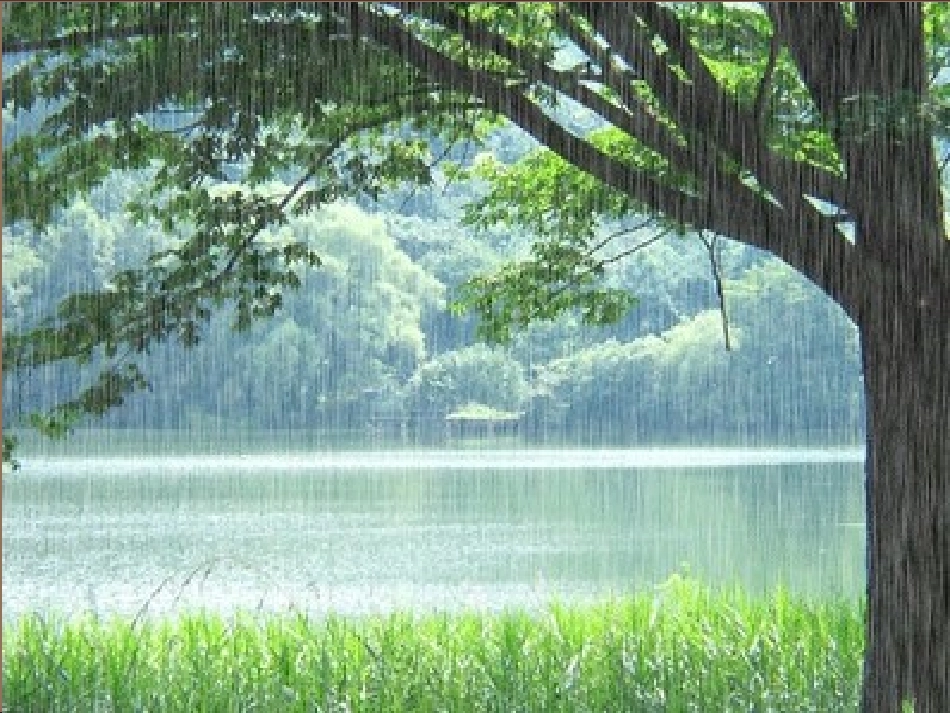 《春雨的颜色》教学课件_第2页