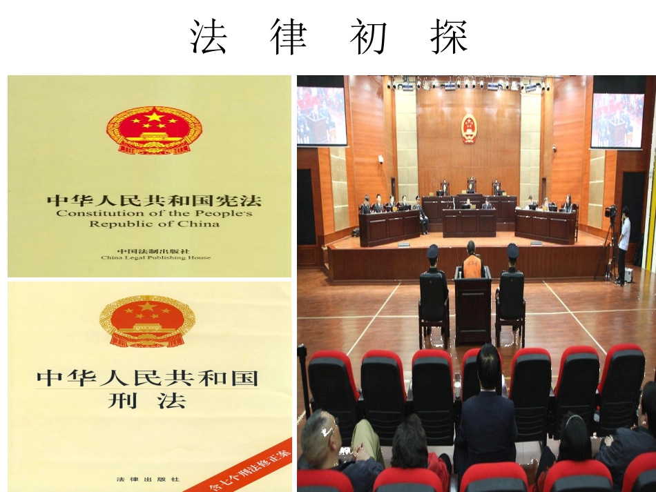 科教版七年级政治下册《法律初探》课件_第2页