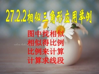 相似三角形应用举例用