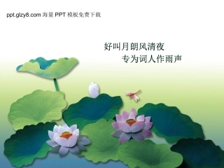 荷花背景PPT模版