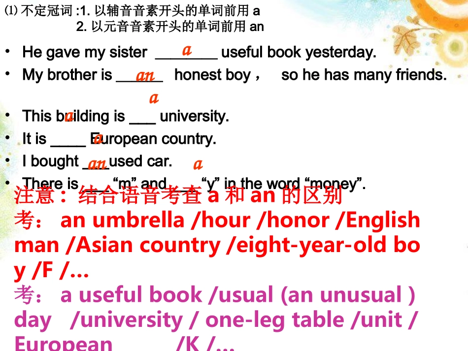 2013年中考英语总复习冠词_第3页