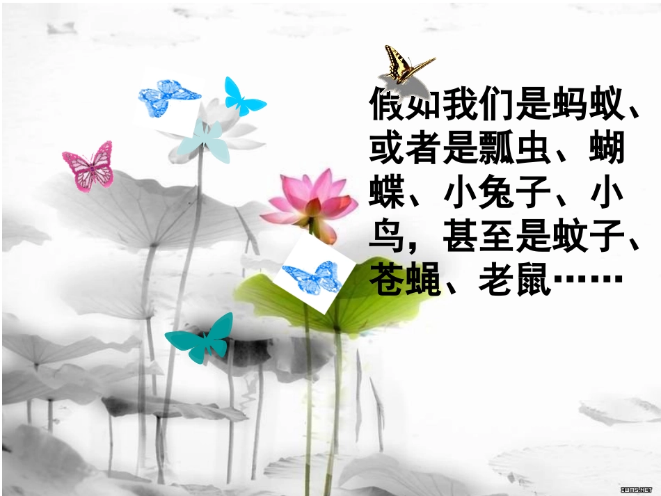 四年级下册科学加入我们是_第2页