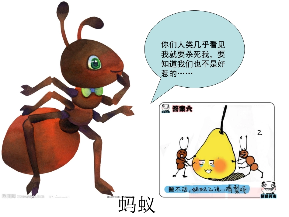 四年级下册科学加入我们是_第3页