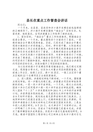 县长在重点工作督查会讲话发言