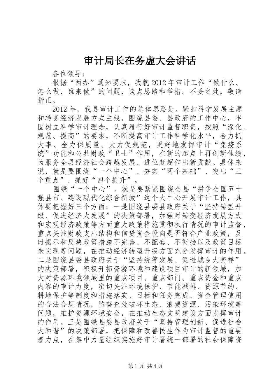 审计局长在务虚大会讲话发言_第1页