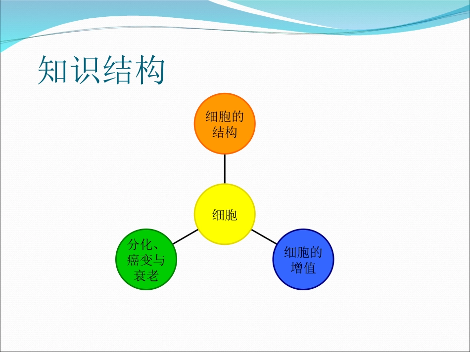 高中生物知识结构复习_第2页
