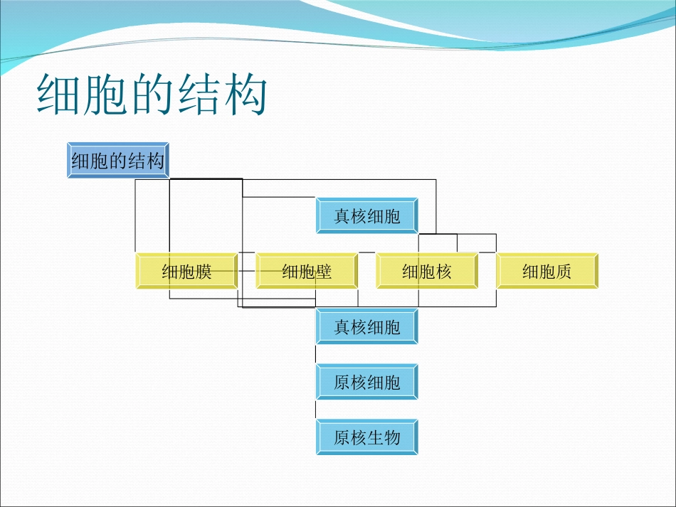 高中生物知识结构复习_第3页