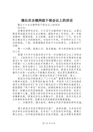镇长在全镇两级干部会议上的讲话发言