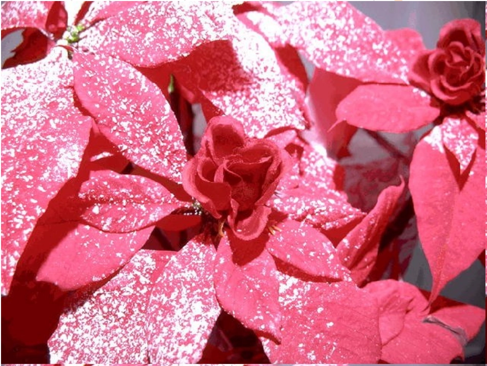 【精品课件一】34升华和凝华_第2页