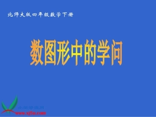 《数图形中的学问》课件