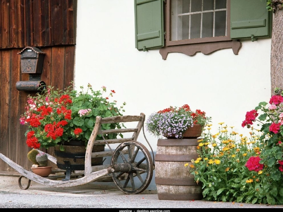 五年级语文下册第八组25自己的花是让别人看的第二课时课件_第1页