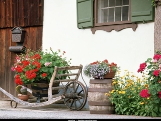 五年级语文下册第八组25自己的花是让别人看的第二课时课件