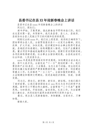 县委书记在县XX年迎新春晚会上讲话发言