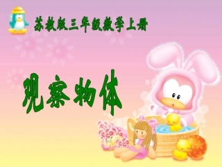 (苏教版)三年级数学上册课件_观察物体