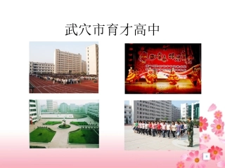 武穴育才高中reading
