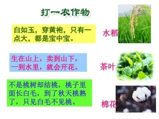 七下10课经济重心南移