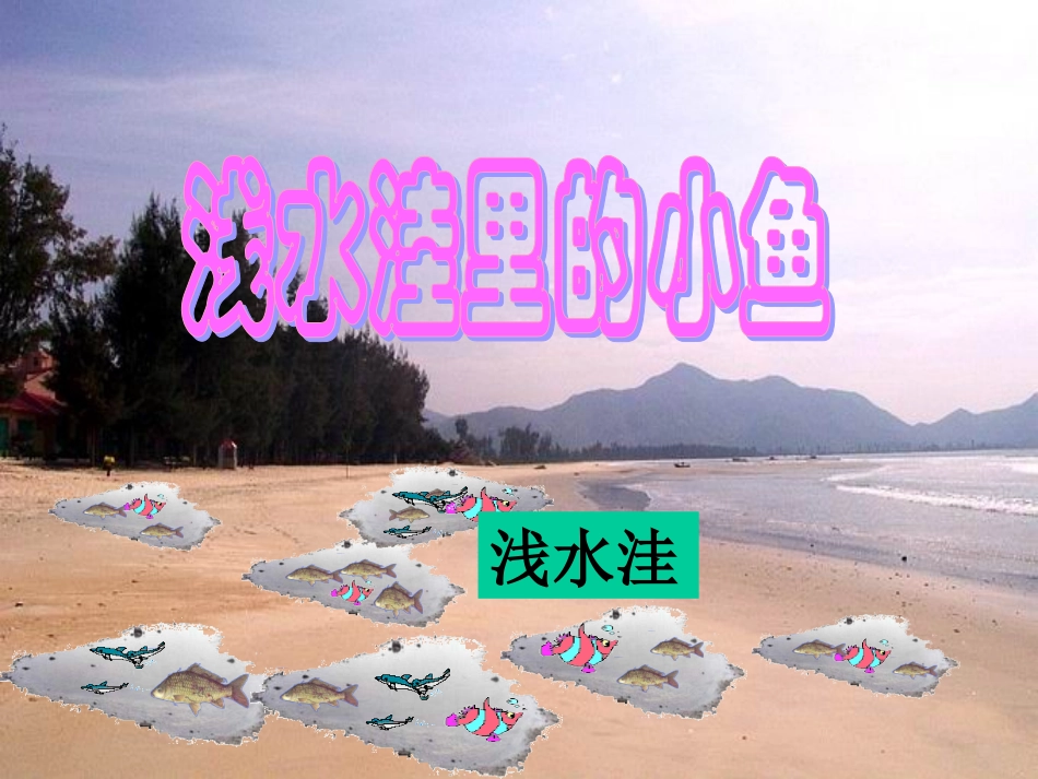 28浅水洼里的小鱼PPT课件_第1页