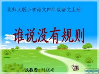 北师大版小学语文四年级下册《谁说没有规则》课件