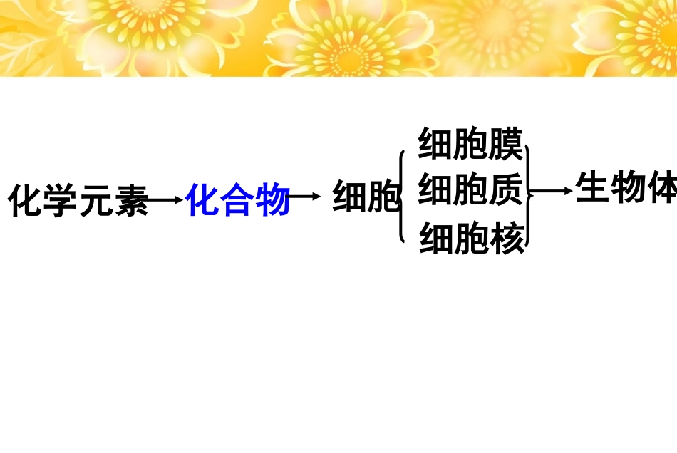 人教版必修1第2章第1节细胞中的元素和化合物（共13张PPT）_第2页