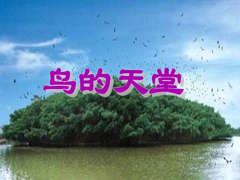 人教版四语上《鸟的天堂》_第1页
