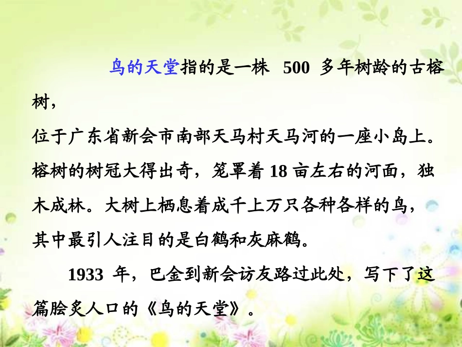 人教版四语上《鸟的天堂》_第3页