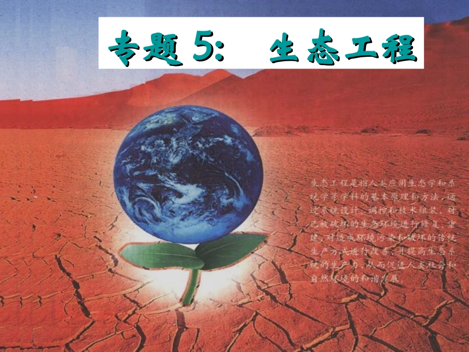 选修三51生态工程的基本原理_第1页