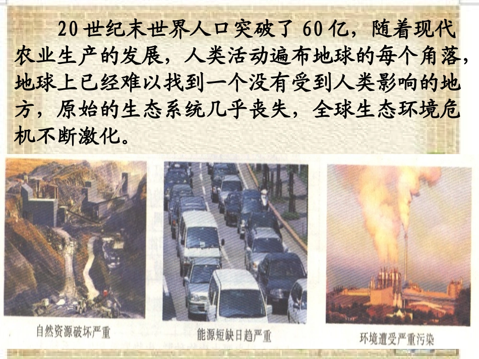 选修三51生态工程的基本原理_第2页