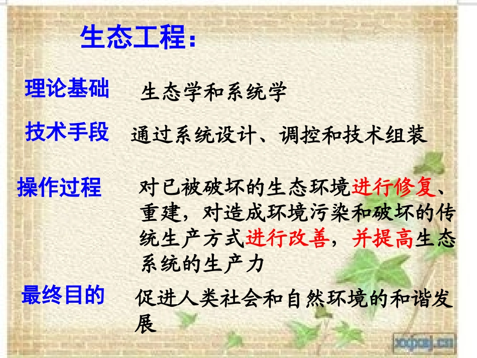 选修三51生态工程的基本原理_第3页