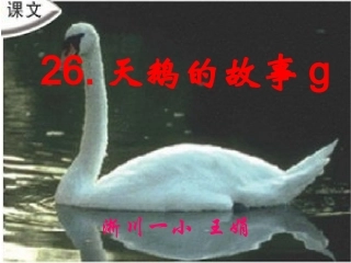 天鹅的故事2