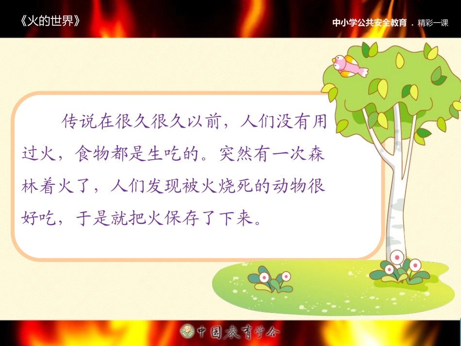 《火的世界》课件_第3页