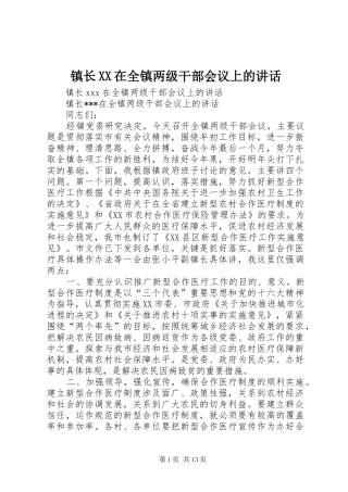 镇长XX在全镇两级干部会议上的讲话发言