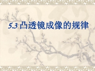 【精品课件】53凸透镜成像的规律