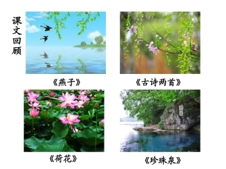 群文阅读——自然之美