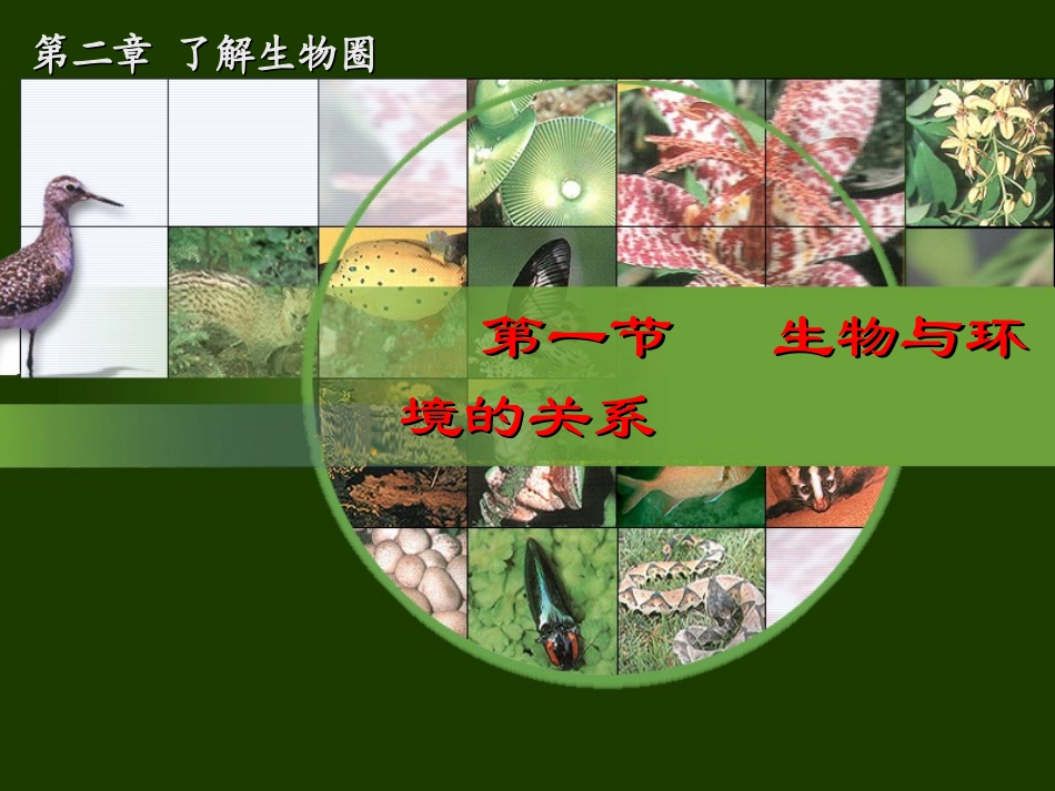 七年级生物生物与环境的关系课件_第2页