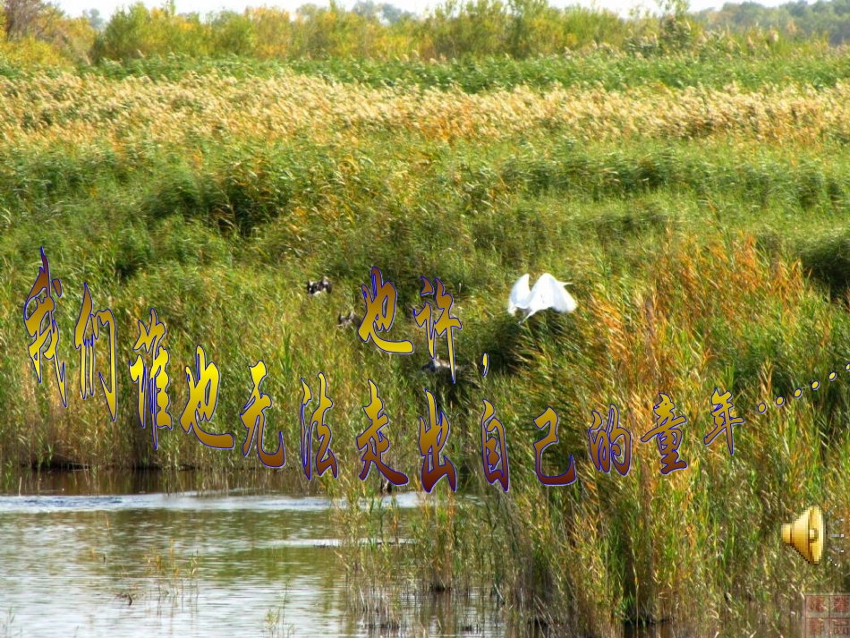《草房子》读书汇报课课件_第1页