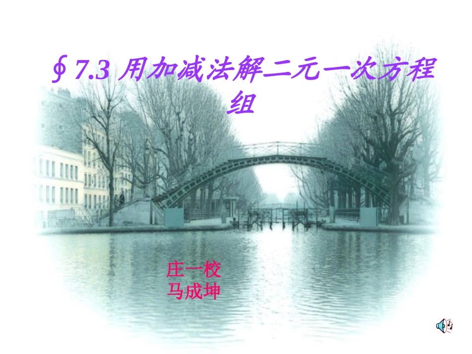 二元一次方程组。马成坤_第1页