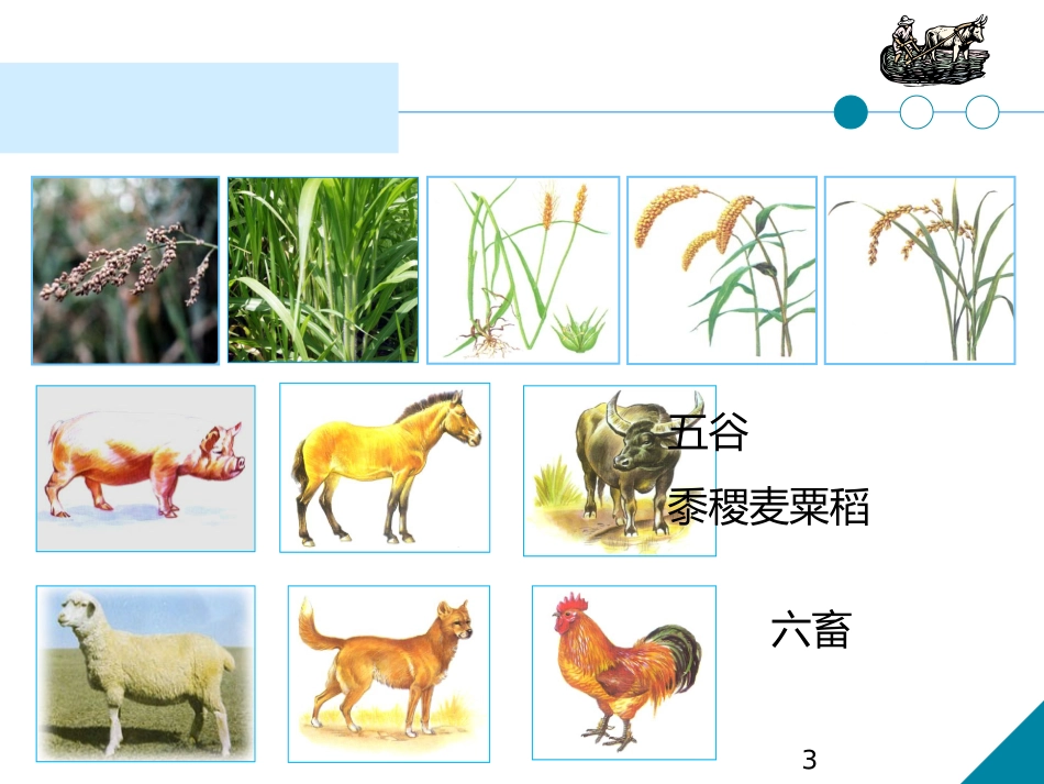 古代农业修改_第3页