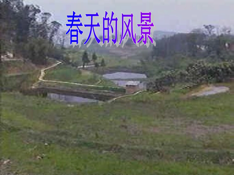 人教版一年级语文下册《春晓》_第1页
