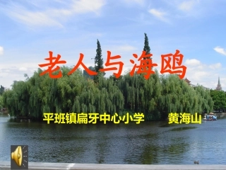 老人与海鸥(强烈推荐)