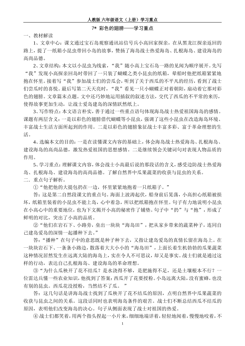 彩色的翅膀学习重点_第1页