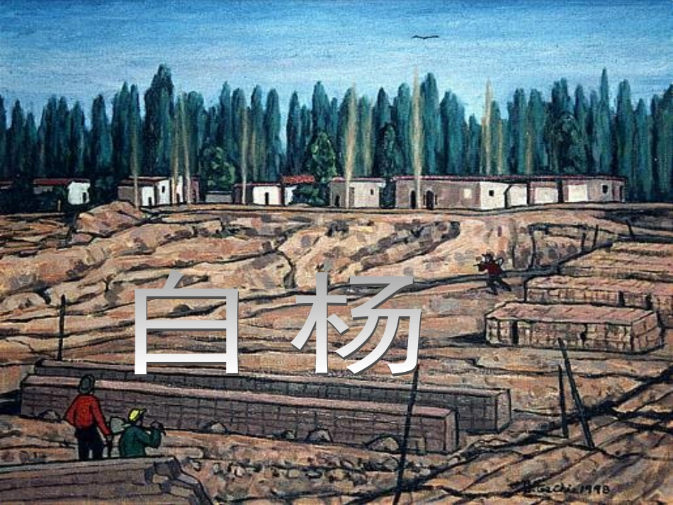 《白杨》课件_第1页
