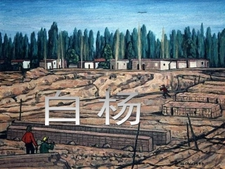 《白杨》课件