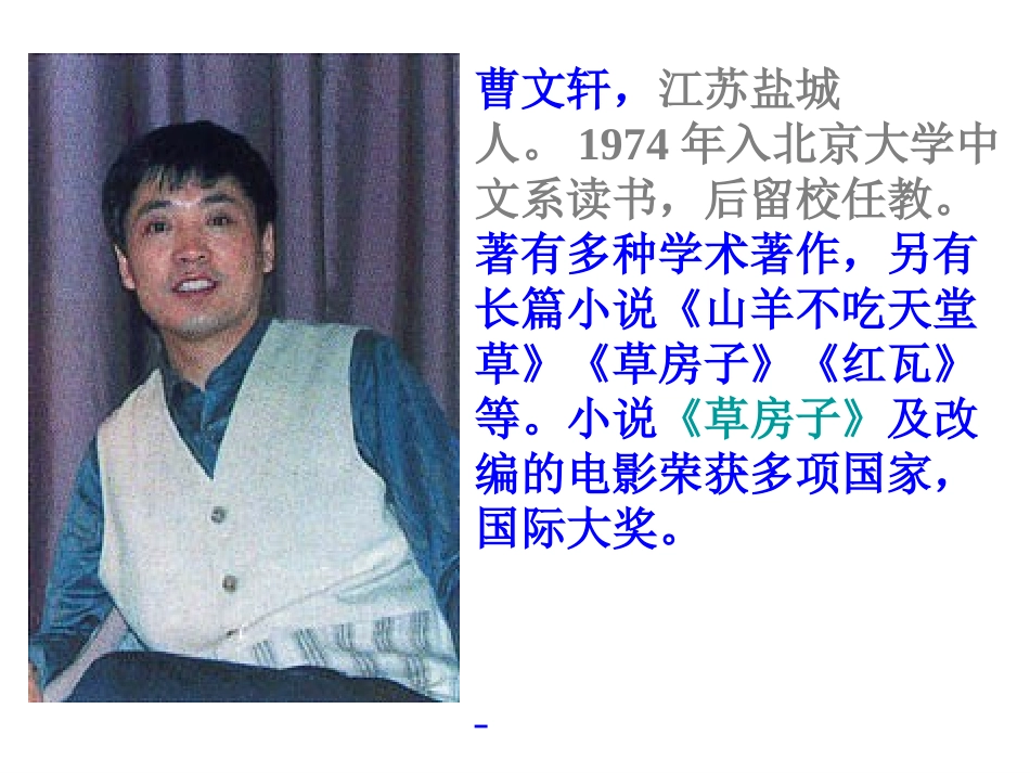 《孤独之旅》_第3页