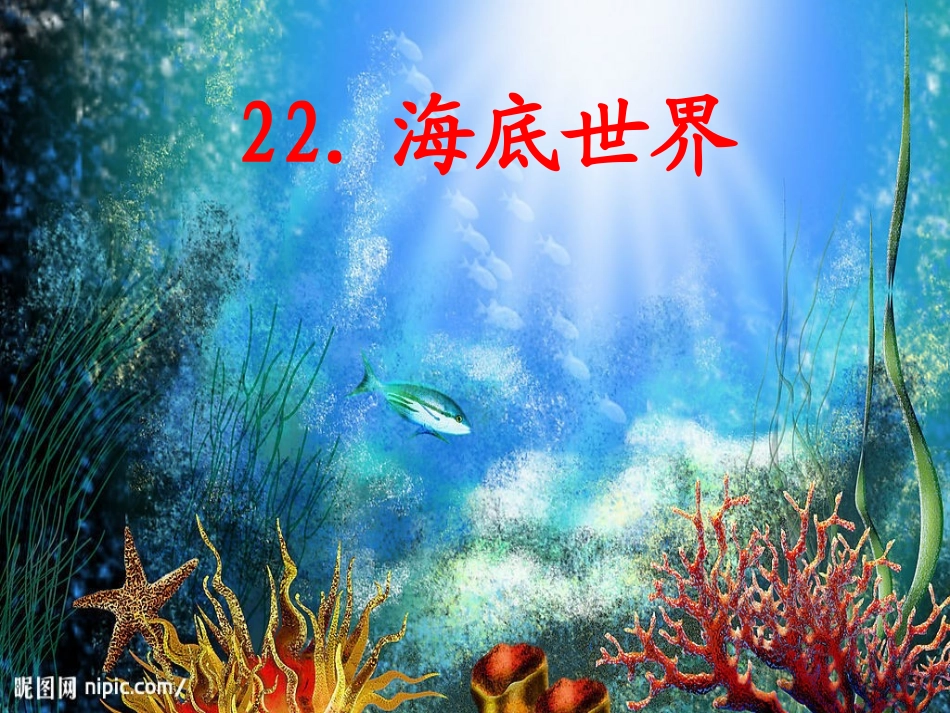 海底世界PPT课件_第1页