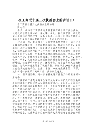 在工商联十届三次执委会上的讲话发言(1)