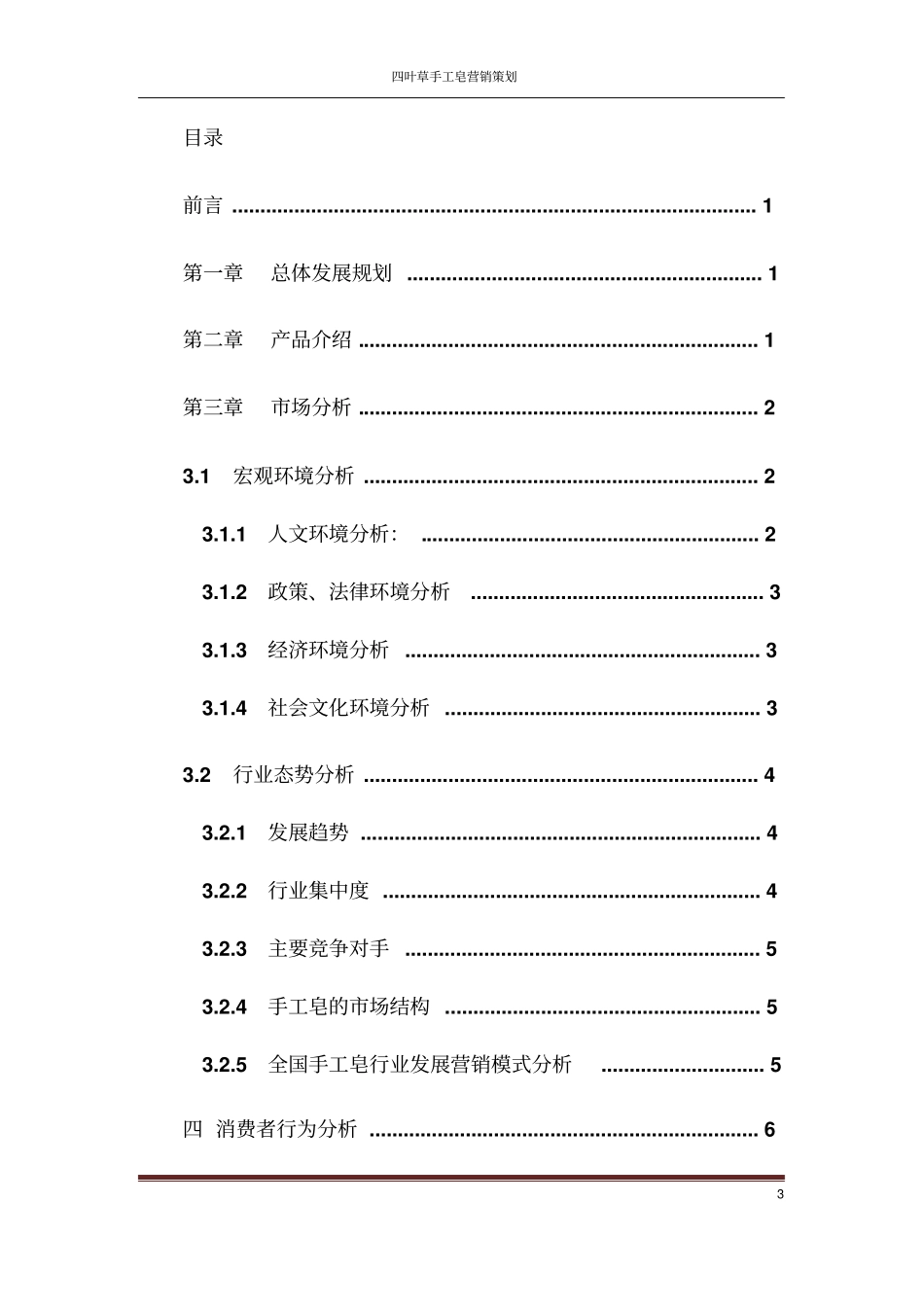手工皂策划方案_第3页