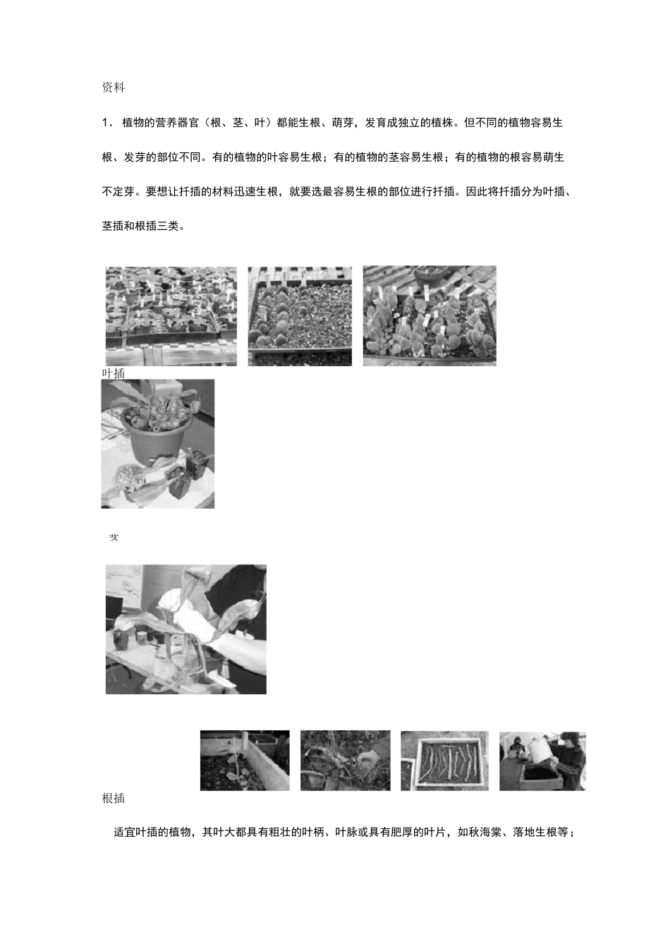 植物的生殖练习题_第3页