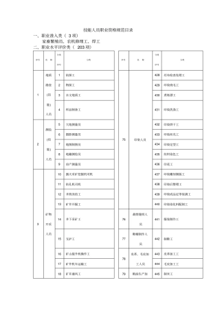 技能人员职业资格规范目录全解