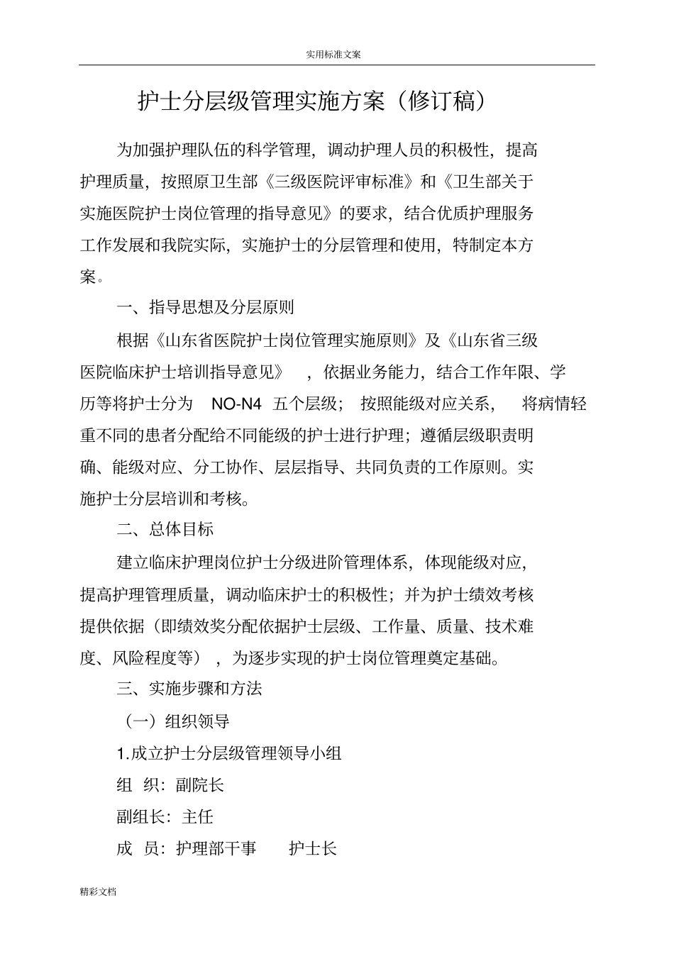 护士的分层级管理的系统实施方案设计设计_第1页