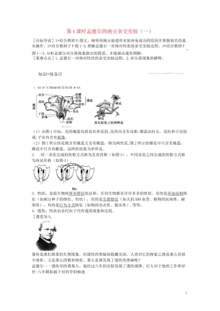 第1课时 孟德尔的豌豆杂交实验(一)